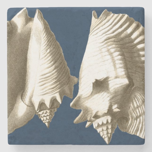 Dessous-de-verre En Pierre Coquillages Sepia Conch (Devant)