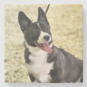 Dessous-de-verre En Pierre Corgi