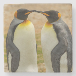 Dessous-de-verre En Pierre Couple de manchots royaux, Falklands