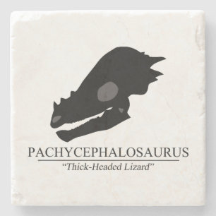 Dessous-de-verre En Pierre Crâne de Pachycephalosaurus