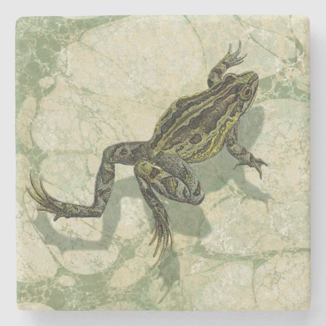 Dessous-de-verre En Pierre Crapaud Swinning dans l'eau (Devant)