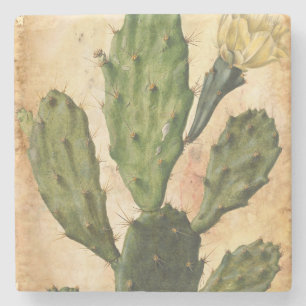 Dessous-de-verre En Pierre cru rustique de cactus