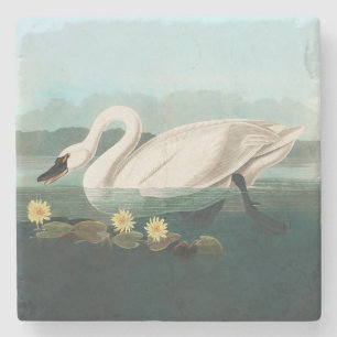 Dessous-de-verre En Pierre cygne audubon cygnes d'eau blanche