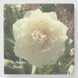 Dessous-de-verre En Pierre Daffodil blanc Personnaliser votre famille