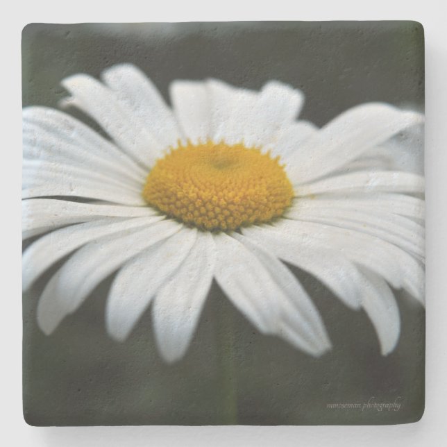 Dessous-de-verre En Pierre Daisy - Face vers le haut (Devant)