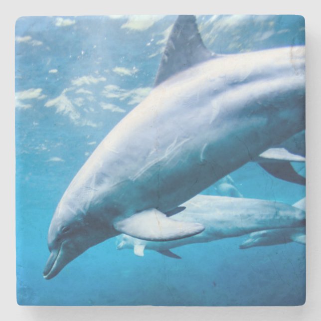 Dessous-de-verre En Pierre Dauphins sous-marins (Devant)