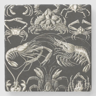 Dessous-de-verre En Pierre Décapode d'Ernst Haeckel