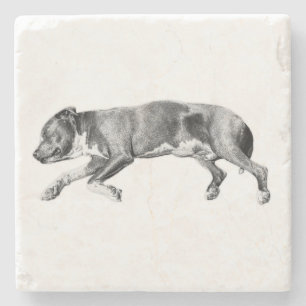 Dessous-de-verre En Pierre Déroulement dans le calme - Dessin de chien détail