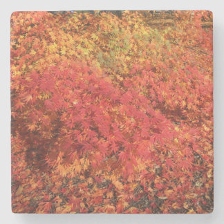 Dessous-de-verre En Pierre Dessous de verre Bliss d'automne