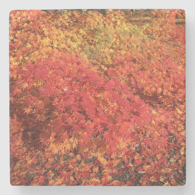 Dessous-de-verre En Pierre Dessous de verre Bliss d'automne (Devant)