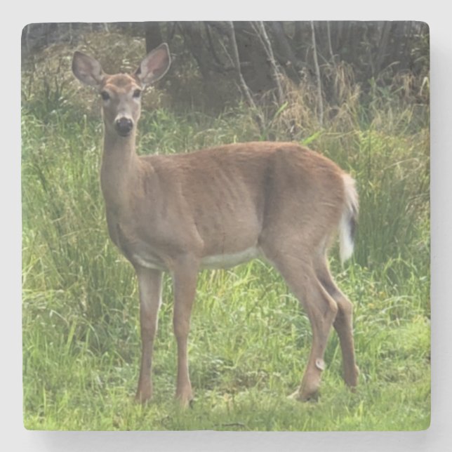 Dessous-de-verre En Pierre Dessous de verre de cerfs en pierre de marbre (Devant)
