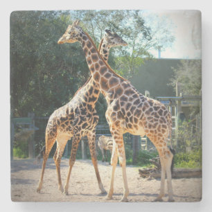 Dessous-de-verre En Pierre dessous de verre de girafe