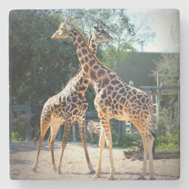 Dessous-de-verre En Pierre dessous de verre de girafe (Devant)