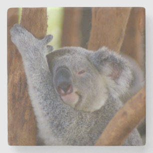 Dessous-de-verre En Pierre Dessous de verre de Koala