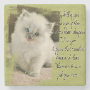 Dessous-de-verre En Pierre Dessous de verre de pierre de chaton de Ragdoll