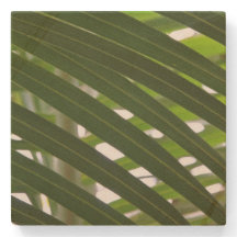 Dessous de verre de pierre de paume d'axe