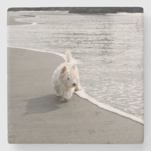 Dessous-de-verre En Pierre Dessous de verre de pierre photo de chien Westie B