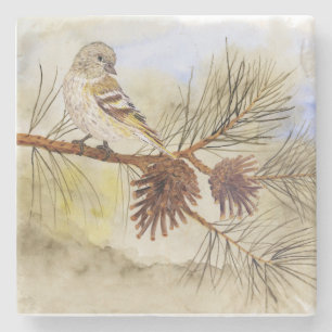 Dessous-de-verre En Pierre Dessous de verre de Siskin de pin