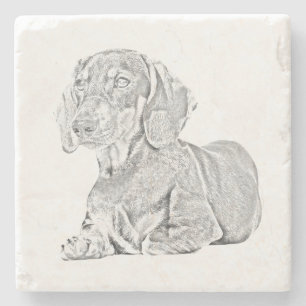 Dessous-de-verre En Pierre Dessous de verre en marbre Dachshund en crayon d'a