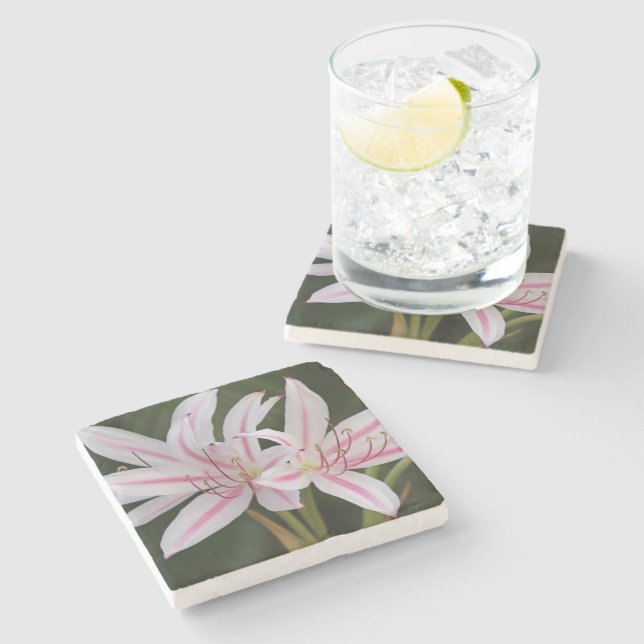 Dessous-de-verre En Pierre Dessous de verre en pierre Cape Lily (Côté)
