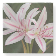 Dessous de verre en pierre Cape Lily