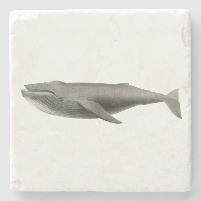 DESSOUS-DE-VERRE EN PIERRE DESSOUS DE VERRE EN PIERRE DE BALEINE (Devant)