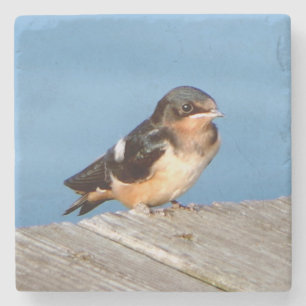 Dessous-de-verre En Pierre dessous de verre en pierre de Barne Swallow