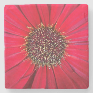 Dessous-de-verre En Pierre Dessous de verre en pierre de marbre rouge
