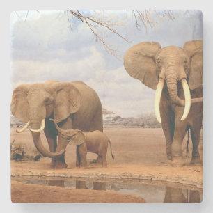 Dessous-de-verre En Pierre Dessous de verre en pierre d'éléphant