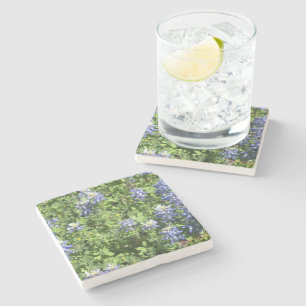 Dessous-de-verre En Pierre Dessous de verre en pierre rustique avec des Blueb