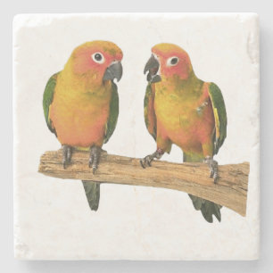 Dessous-de-verre En Pierre Dessous de verre mignons de Conure