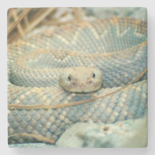 Dessous-de-verre En Pierre Dessous de verre pour boisson Rattlesnake