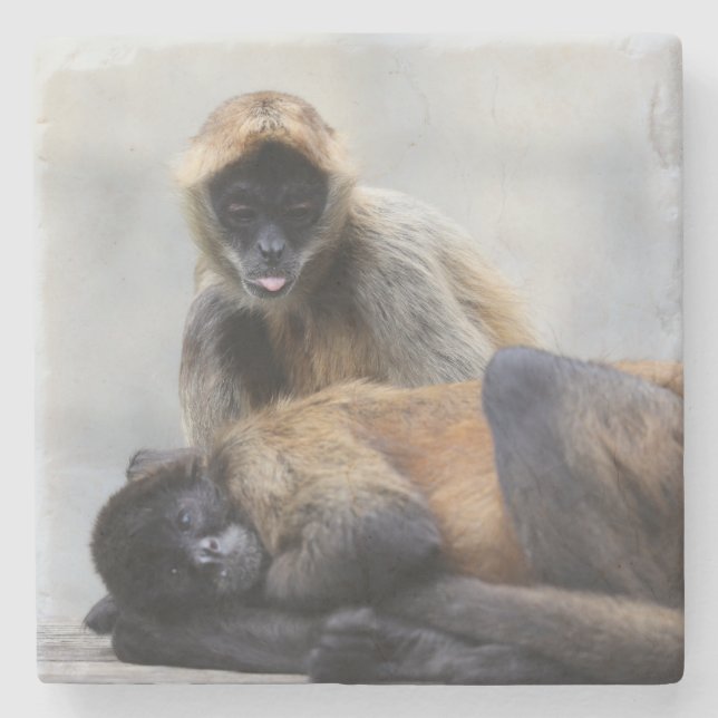 Dessous-de-verre En Pierre Dessous de verre singe (Devant)