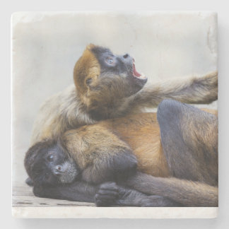 Dessous-de-verre En Pierre Dessous de verre singe