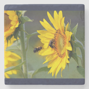 Dessous-de-verre En Pierre Dessous de verre tournesol