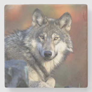 Dessous-de-verre En Pierre Dessous de verre Wolf Stone