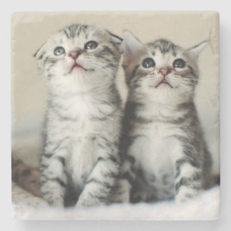 Dessous-de-verre En Pierre Deux chatons mignons