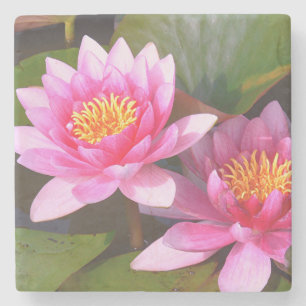 DESSOUS-DE-VERRE EN PIERRE "DEUX MENSONGES D'EAU ROSE"