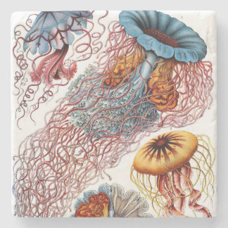Dessous-de-verre En Pierre Discomedusae d'Ernst Haeckel