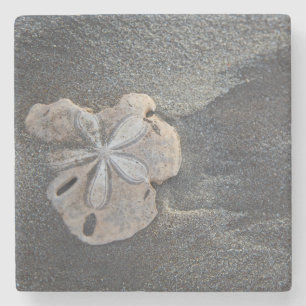 Dessous-de-verre En Pierre Dollar des sables sur le sable