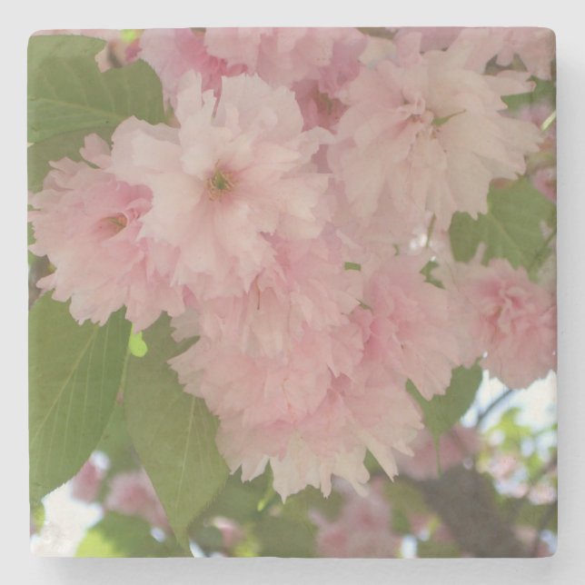 Dessous-de-verre En Pierre Double floraison cerisier II printemps fleuri (Devant)