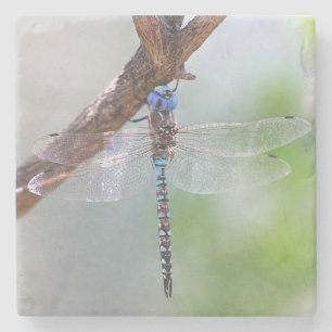 Dessous-de-verre En Pierre Dragonfly aux yeux bleus