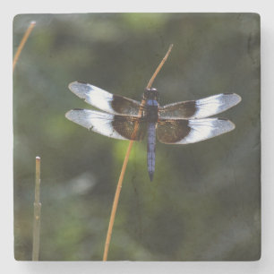 Dessous-de-verre En Pierre Dragonfly de la veuve masculine