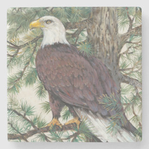Dessous-de-verre En Pierre Eagle chauve sur la branche