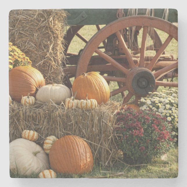 Dessous-de-verre En Pierre Écran Citrouille Automne Et Mère (Devant)