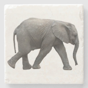 Dessous-de-verre En Pierre Éléphant africain