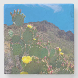 Dessous-de-verre En Pierre États-Unis, Arizona. Cactus dans les collines