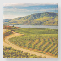 États-Unis, Washington, Lac Chelan. Les vignobles