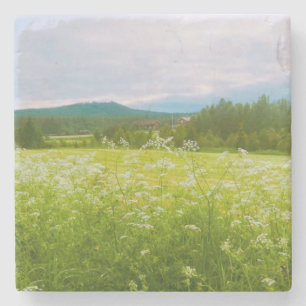 Dessous-de-verre En Pierre Été à Hälsingland - Helsingia