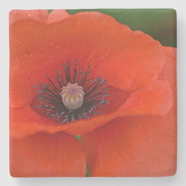 Dessous-de-verre En Pierre Étonnant Poppy rouge (Devant)